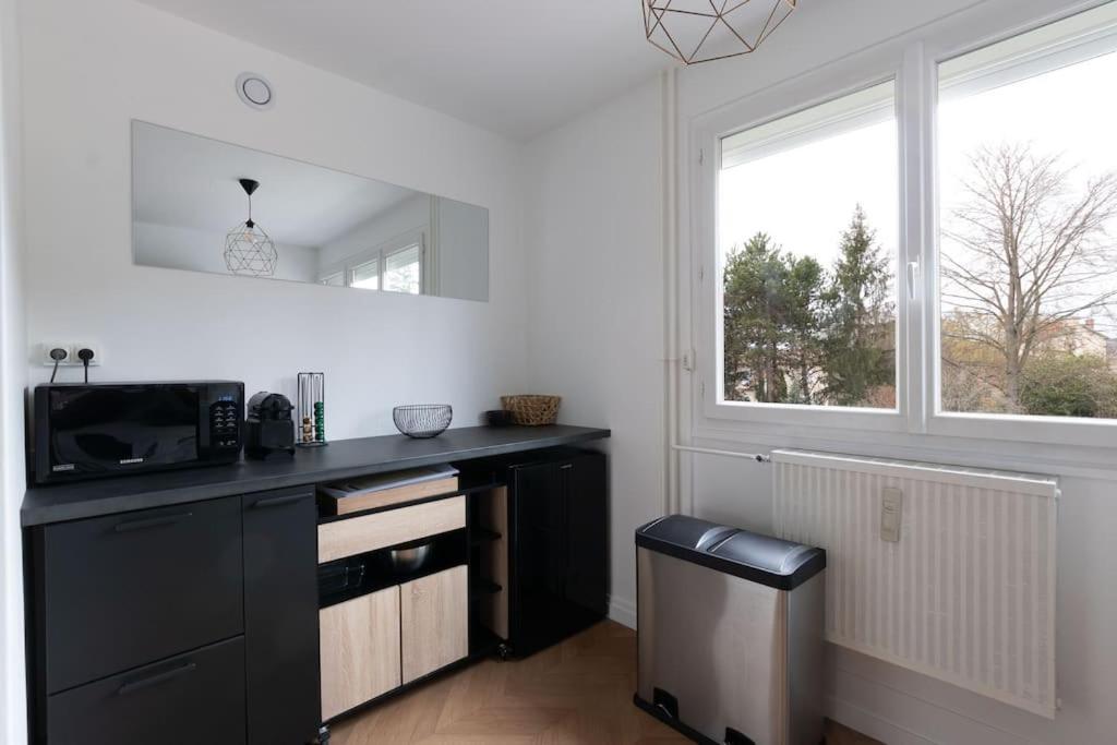 Cabana & Le Grand Appartement Lumineux Mâcon 외부 사진